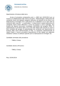 Esito procedura comparativa