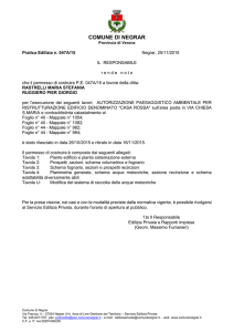 COMUNE DI NEGRAR Provincia di Verona Pratica Edilizia n. 047A