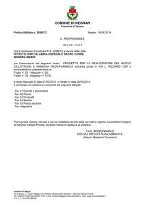 COMUNE DI NEGRAR Provincia di Verona Pratica Edilizia n. 265B