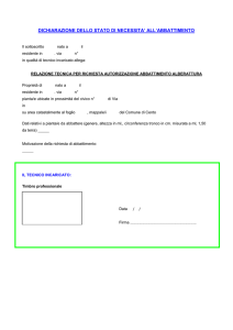 Dichiarazione stato di necessità