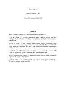 Salva la scheda come