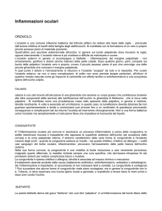 INFIAMMAZIONI OCULARI