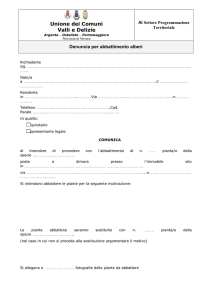 File RTF | Dimensioni: 2145Kb