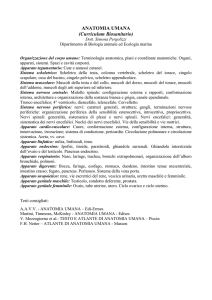 PROGRAMMA DI ANATOMIA UMANA