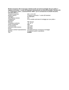 Modulo di ingresso AS-i di sicurezza, Interfaccia AS