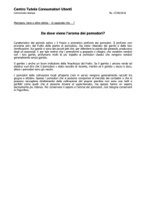 Da dove viene l`aroma dei pomodori?