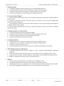 Radici della civiltà - Volume 1 Capitolo 9 Alessandro Magno e la