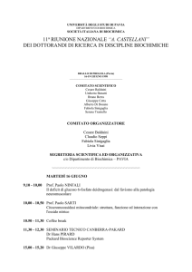 rtf - Università degli studi di Pavia