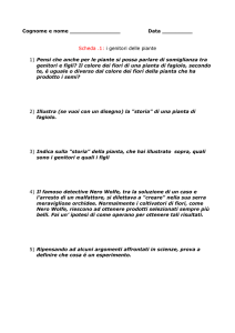 Scheda .1: i genitori delle piante