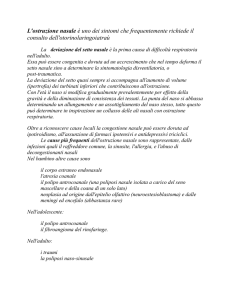 L`ostruzione nasale è uno dei sintomi che
