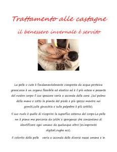 Trattamento alle castagne il benessere invernale è servito