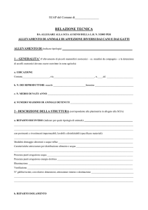 relazione tecnica - Comune di Medicina