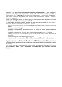 Informativa alla Giunta provinciale - Provincia di Massa