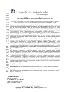 Nuove possibilità dai metamateriali plasmati con la luce Ricercatori