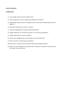 Questionario sul Neolitico