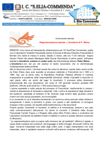 Comunicato stampa Rappresentazione teatrale L`istruttoria di P