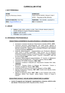 curriculum vitae