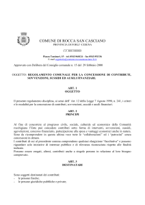 Regolamento concessione contributi