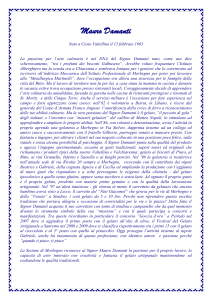 Mauro Damanti - Artigiani Sondrio