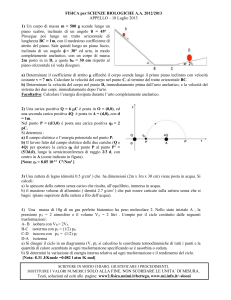 appello-18-7-13