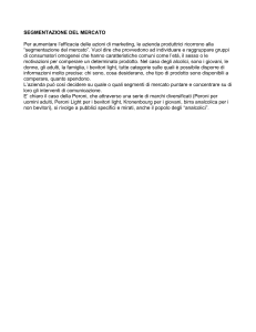 segmentazione del mercato