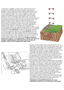 Un terremoto, o sisma, è un`improvvisa vibrazione del