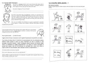 La scoperta della fotosintesi