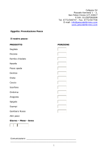 Formato Word