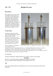 Bottiglie di Leyda