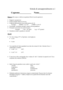 Scheda 1