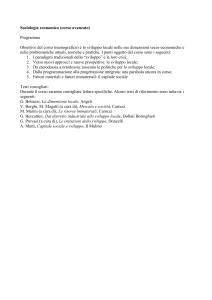 Sociologia economica (corso avanzato)