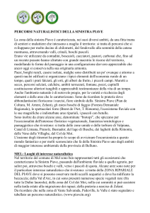 Percorsi naturalistici della Sinistra Piave