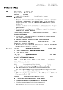 Professional Resume