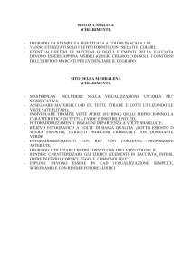 elaborati
