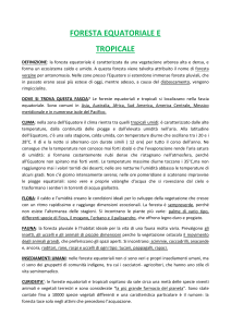 FORESTA EQUATORIALE E TROPICALE DEFINIZIONE: la foresta
