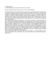 il verme disicio
