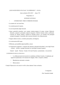 LICEO SCIENTIFICO STATALE “N.COPERNICO” – PAVIA Anno