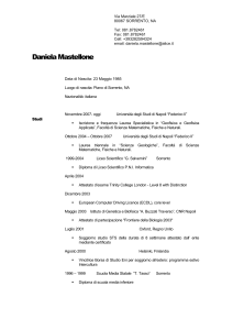 Curriculum in stile professionale
