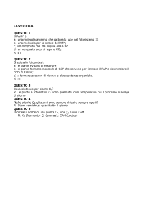 questionario