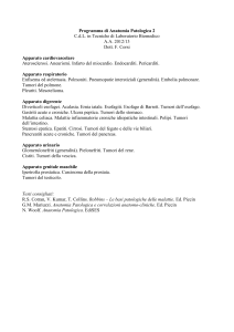 Anatomia Patologica 2