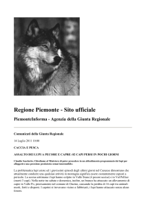 abbattimento programmato dei lupi (apri e stampa)