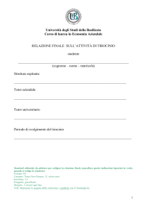 fac simile relazione tirocinio