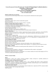 Corso di Laurea in Corso di Laurea per Tecnici di Fisiopatologia