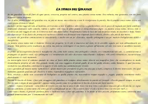 la storia del girasole