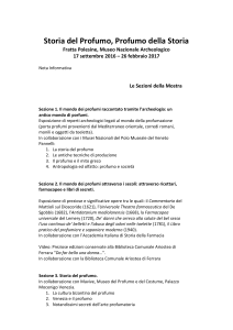 Le Sezioni della Mostra