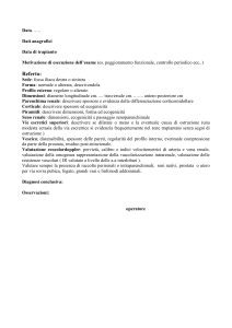 refertazione ecografia rene trapiantato