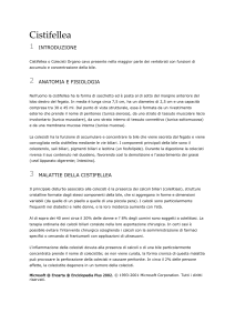 Cistifellea - IHMC Public Cmaps