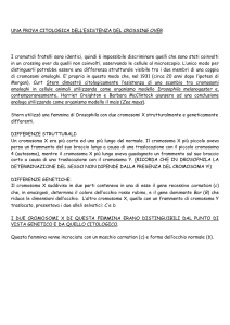 prova_citologica_crossing_over