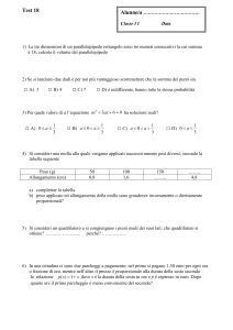 Test 18 - IIS Severi