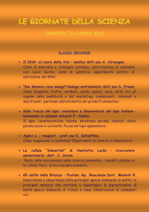 classi seconde